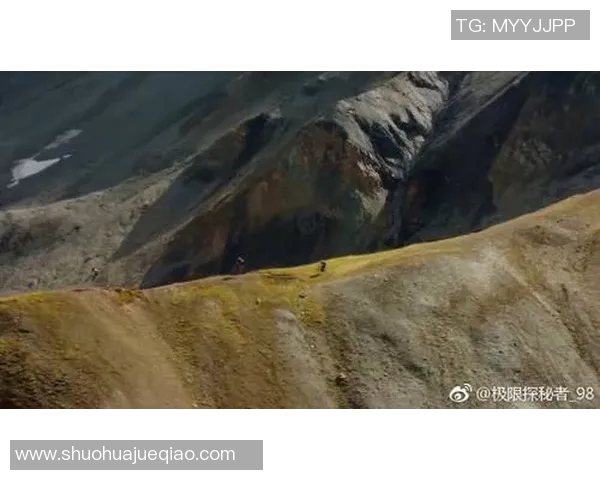 极限运动探秘：深入分析北京极限运动队的比赛历程与经验分享